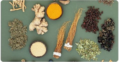 r4rasian|Rasayana Herbs: Benefits, History, And Usage .